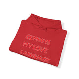 GEMINI IS MY LOVE LANGUAGE HOODIE