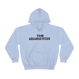 THE AQUARIUS HOODIE