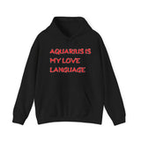 AQUARIUS IS MY LOVE LANGUAGE HOODIE