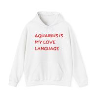 AQUARIUS IS MY LOVE LANGUAGE HOODIE