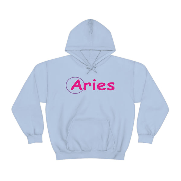 ARIES CIRCLE HOODIE